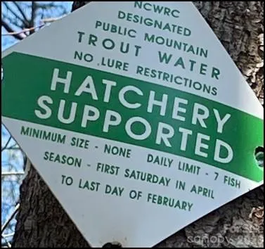 0 Big Hungry Road Flat Rock, NC 28731