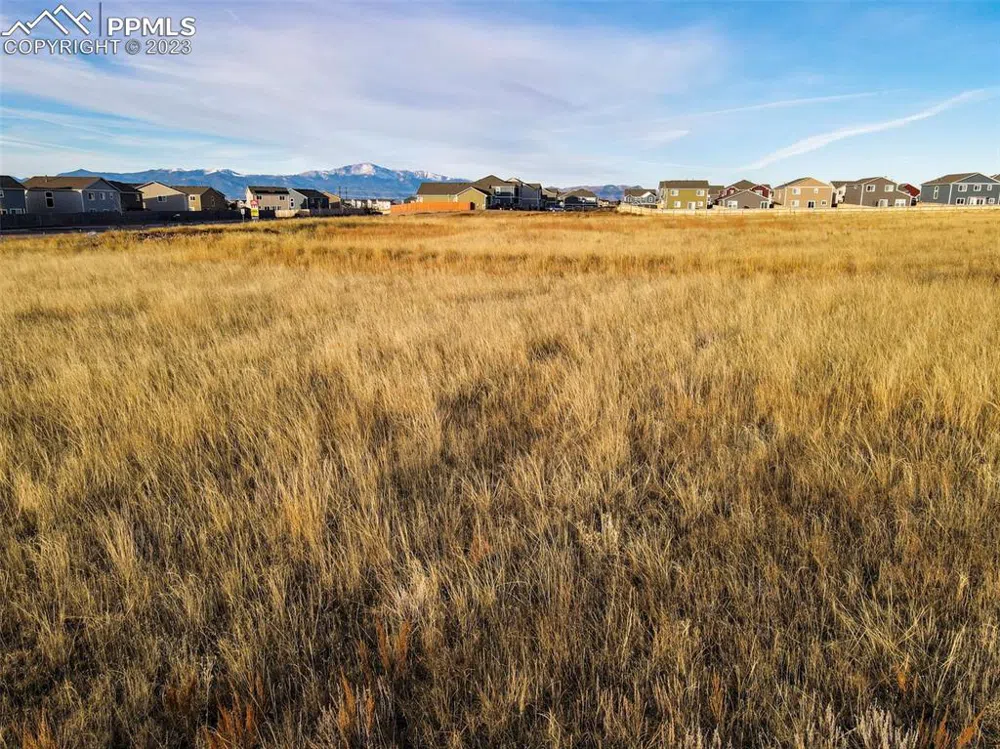 Bent Grass Meadows Drive Peyton, CO 80831