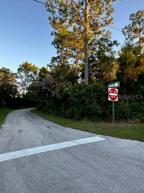 1407 COURTLAND BOULEVARD Deltona, FL 32738