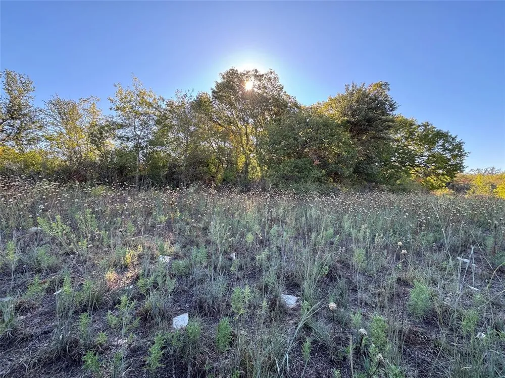 Mason Court Dublin, TX 76446