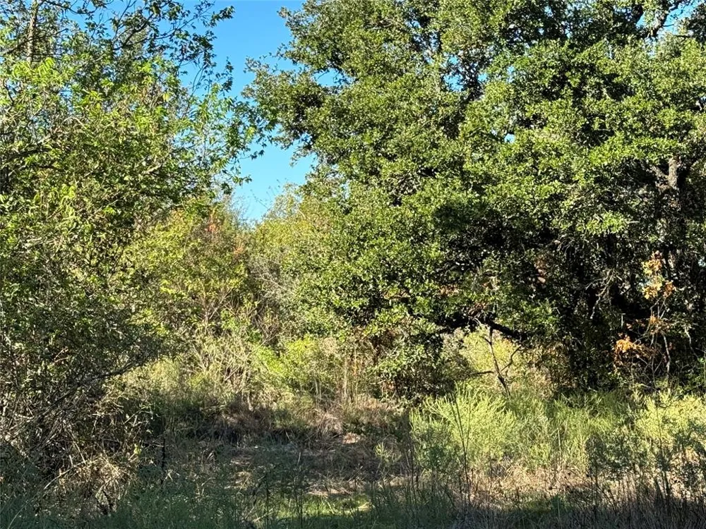 Mason Court Dublin, TX 76446