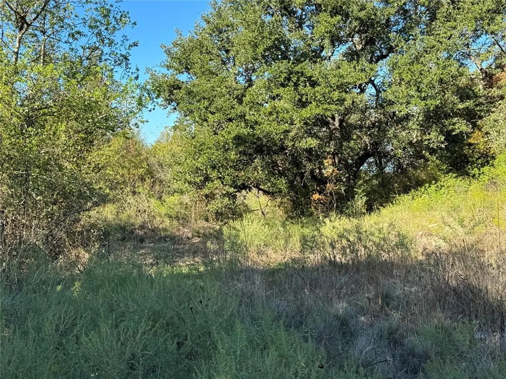 Mason Court Dublin, TX 76446