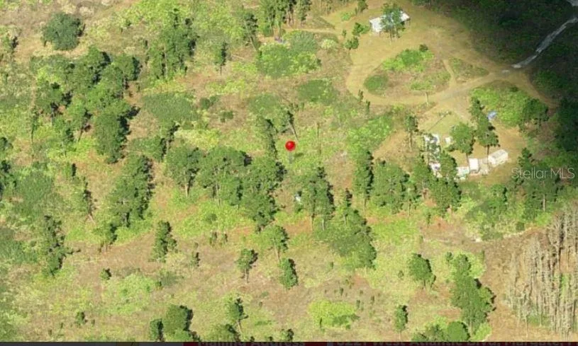 Address Not Shown St Cloud, FL 34773