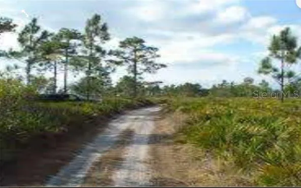 Address Not Shown St Cloud, FL 34773