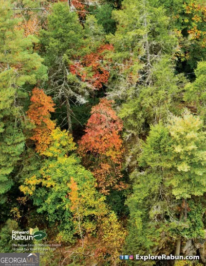 LOT 29 Raven Ridge RD Clayton, GA 30525