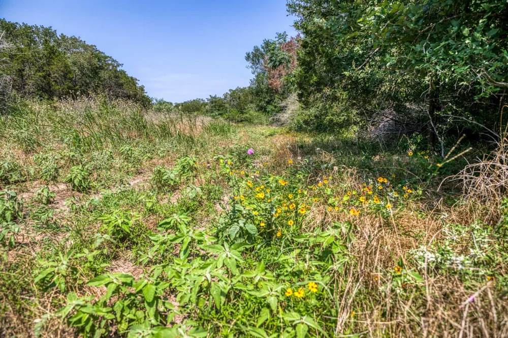 88 Smith Road Bastrop, TX 78602