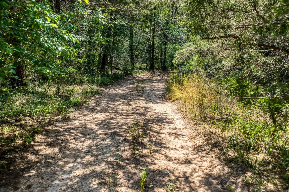 88 Smith Road Bastrop, TX 78602