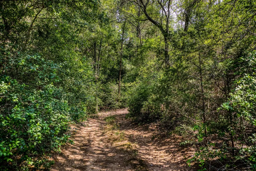 88 Smith Road Bastrop, TX 78602
