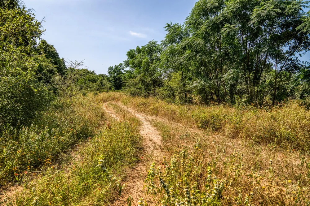 88 Smith Road Bastrop, TX 78602