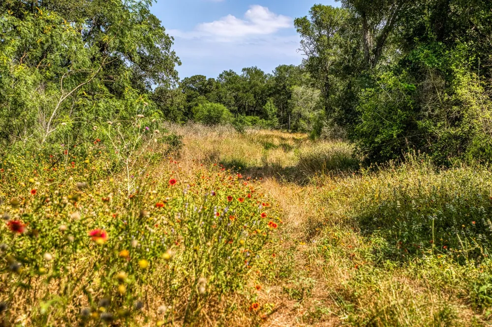 88 Smith Road Bastrop, TX 78602