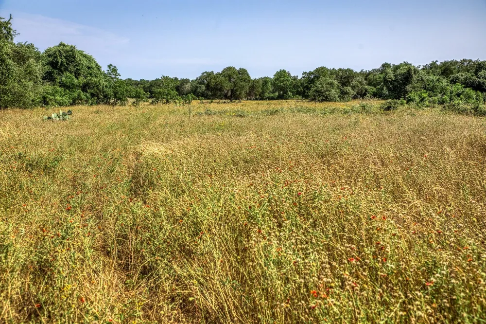 88 Smith Road Bastrop, TX 78602