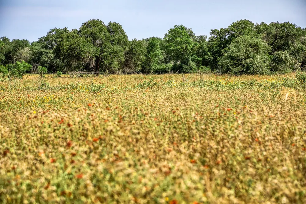 88 Smith Road Bastrop, TX 78602