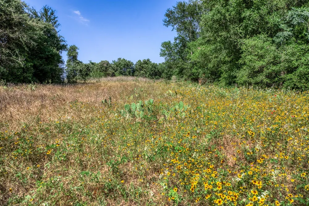 88 Smith Road Bastrop, TX 78602
