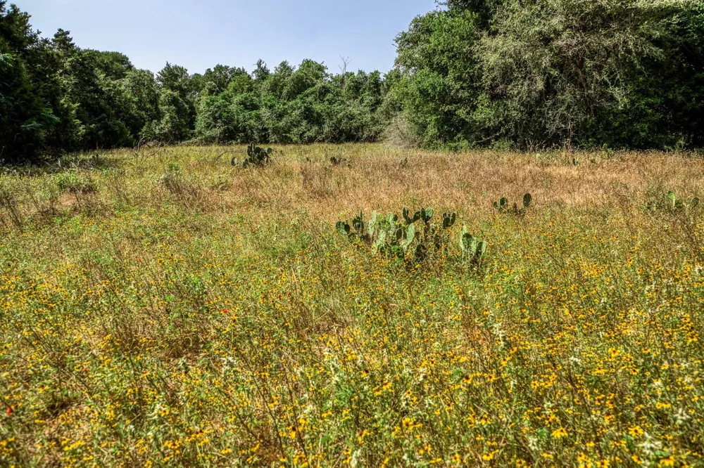 88 Smith Road Bastrop, TX 78602