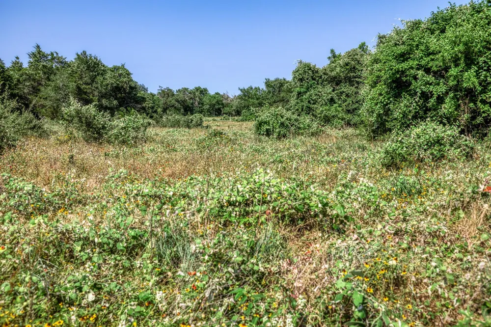 88 Smith Road Bastrop, TX 78602