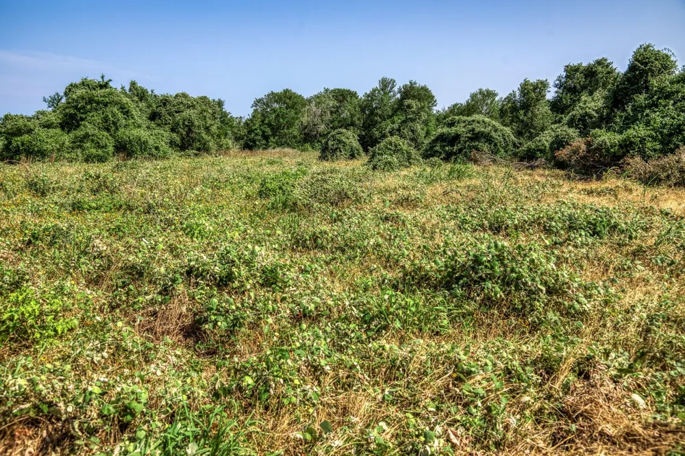88 Smith Road Bastrop, TX 78602