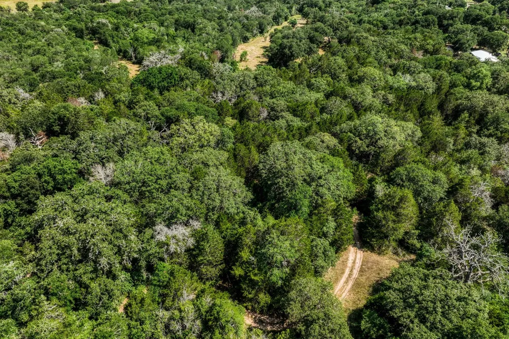 88 Smith Road Bastrop, TX 78602