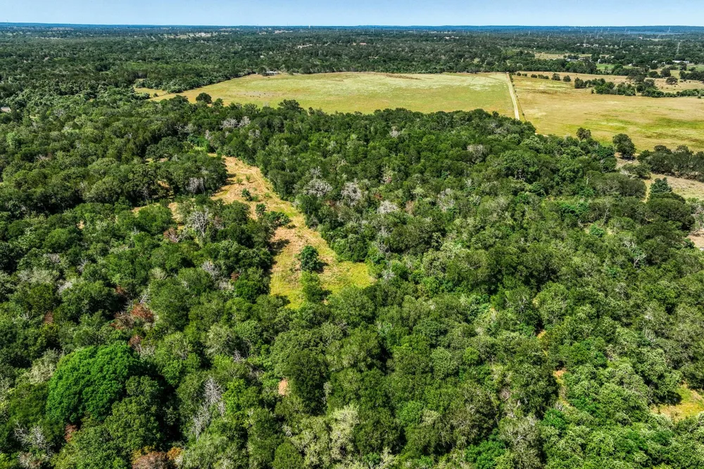 88 Smith Road Bastrop, TX 78602