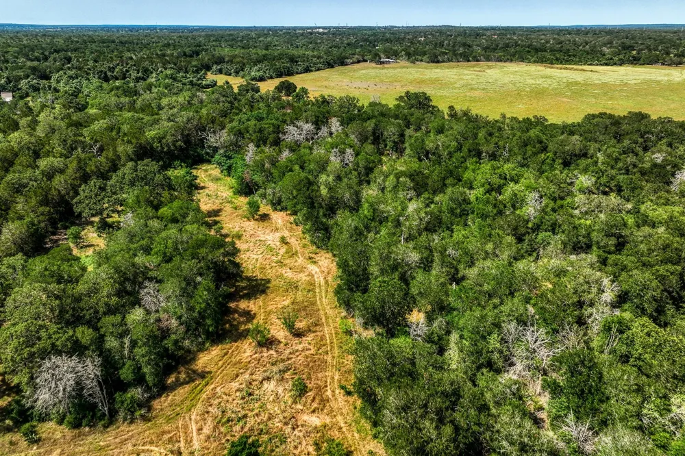 88 Smith Road Bastrop, TX 78602