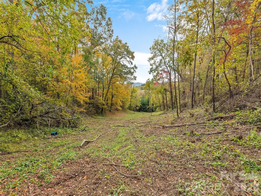 00 Beaverdam Road Canton, NC 28716