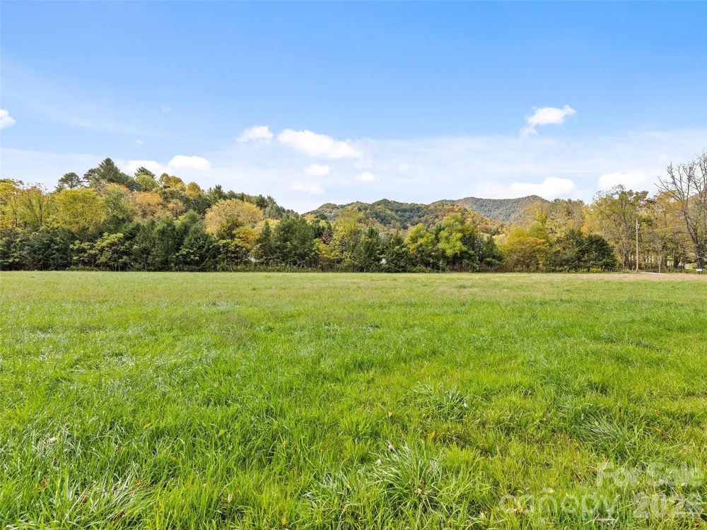 00 Carver Cove Road Canton, NC 28716