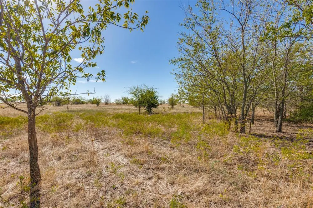 County Rd 2735 Decatur, TX 76234