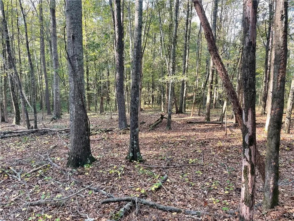 44 County Line Auburn Road Auburn, GA 30011