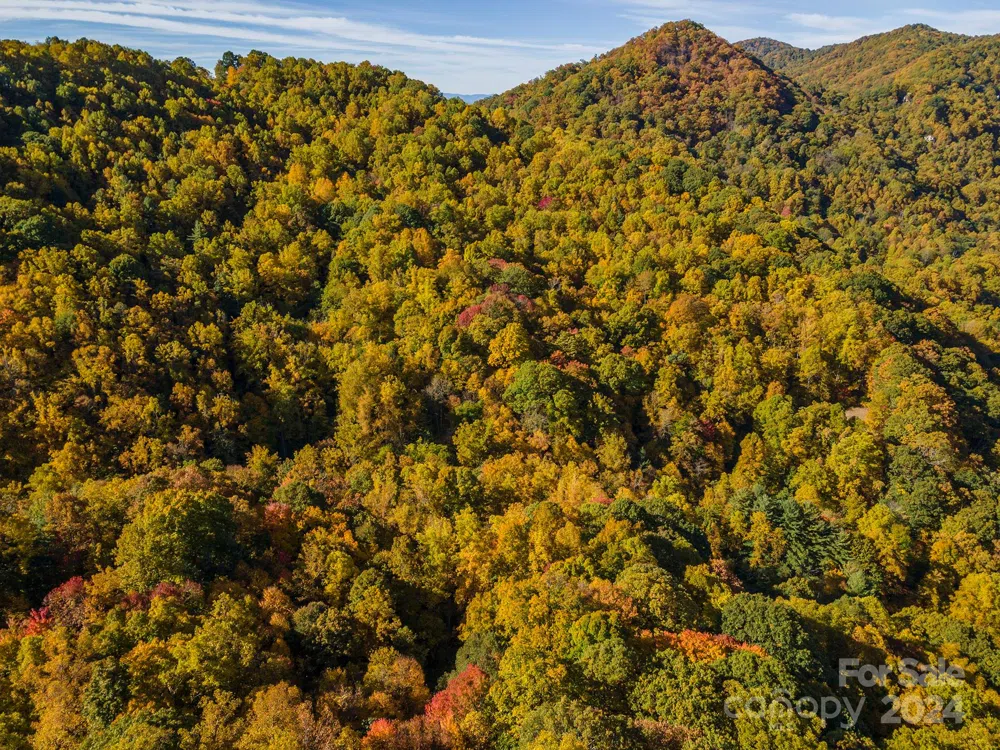 99999 Harwood Road Barnardsville, NC 28709
