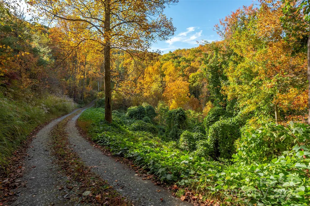 99999 Harwood Road Barnardsville, NC 28709