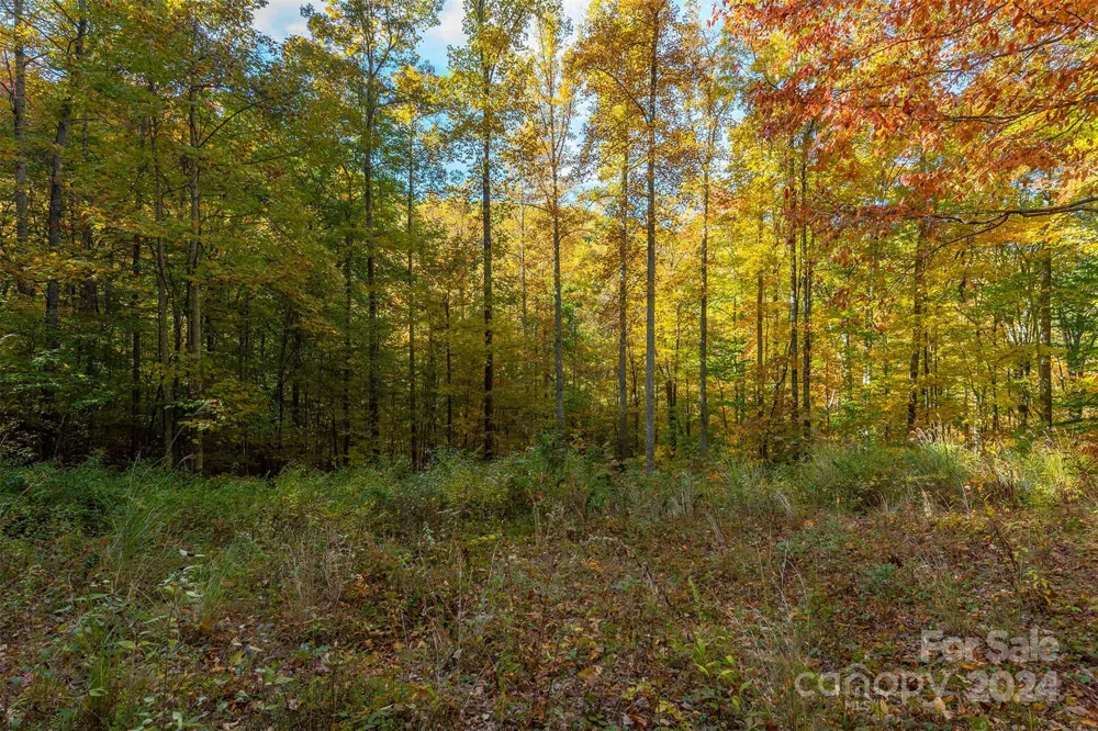 99999 Harwood Road Barnardsville, NC 28709