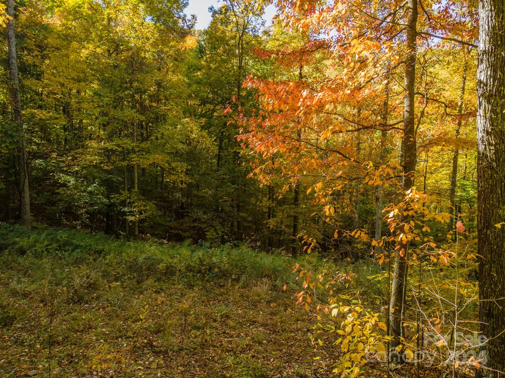 99999 Harwood Road Barnardsville, NC 28709