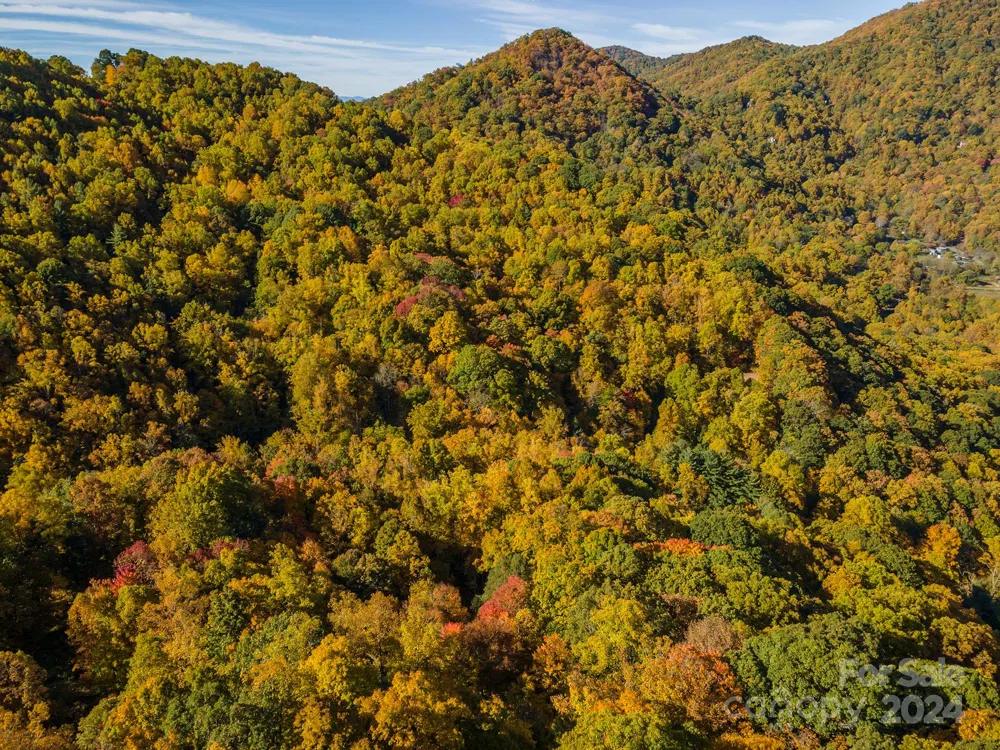 99999 Harwood Road Barnardsville, NC 28709