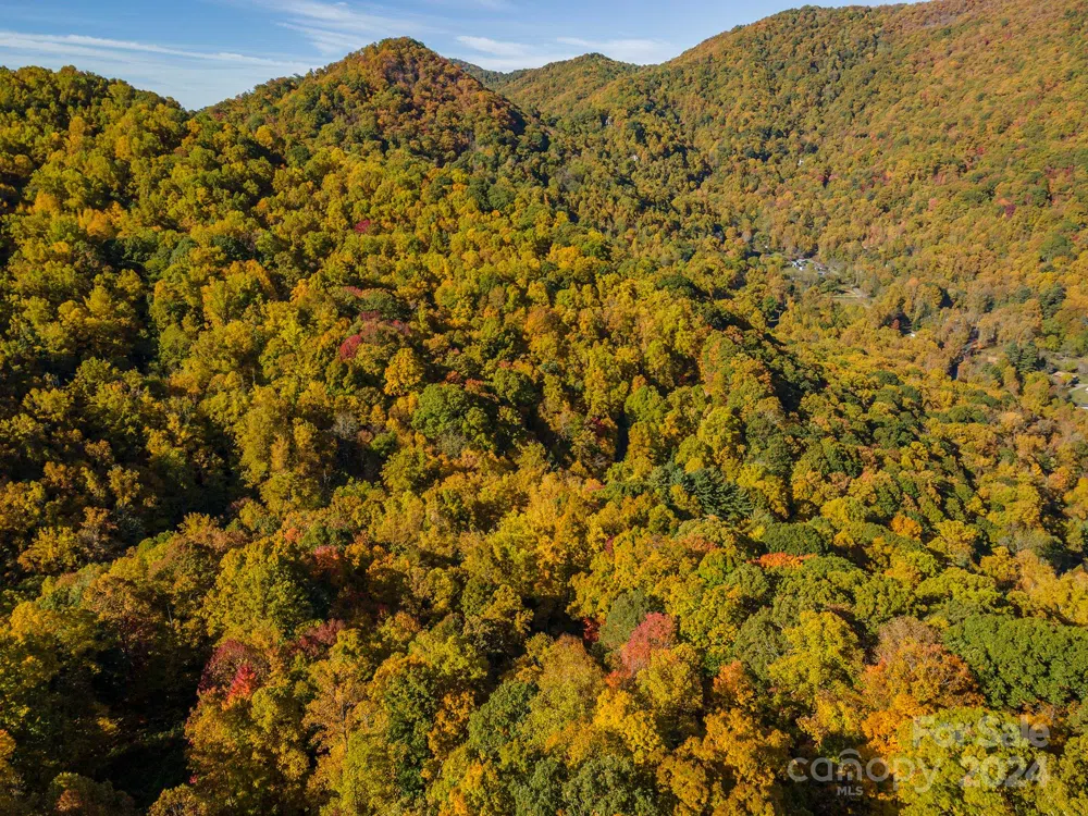 99999 Harwood Road Barnardsville, NC 28709