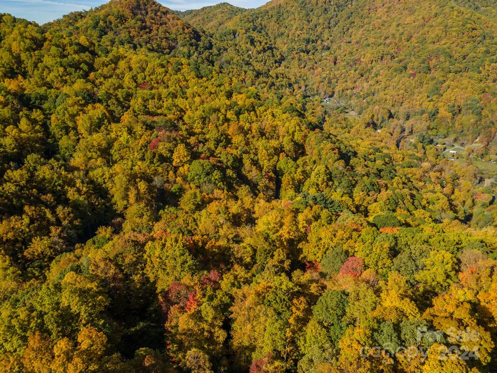 99999 Harwood Road Barnardsville, NC 28709
