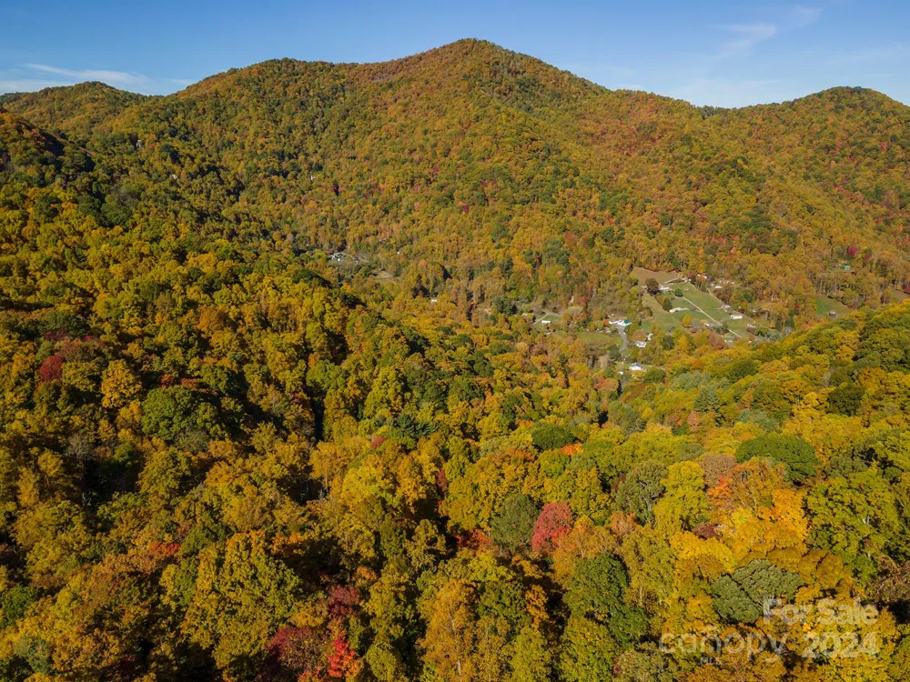 99999 Harwood Road Barnardsville, NC 28709