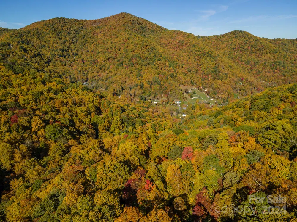 99999 Harwood Road Barnardsville, NC 28709