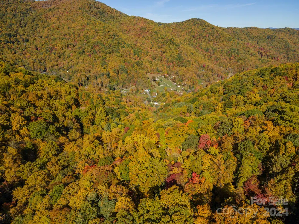 99999 Harwood Road Barnardsville, NC 28709
