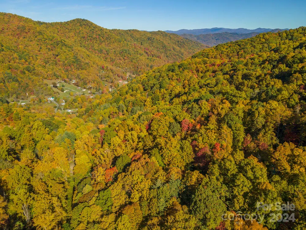 99999 Harwood Road Barnardsville, NC 28709