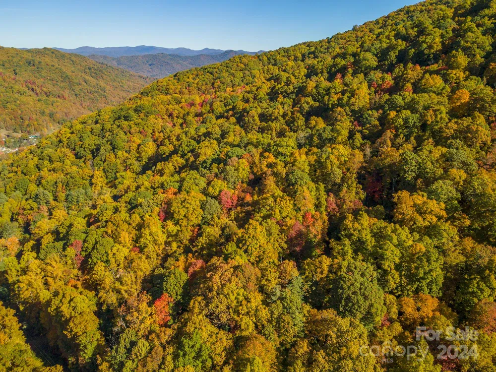 99999 Harwood Road Barnardsville, NC 28709