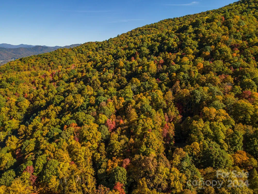 99999 Harwood Road Barnardsville, NC 28709