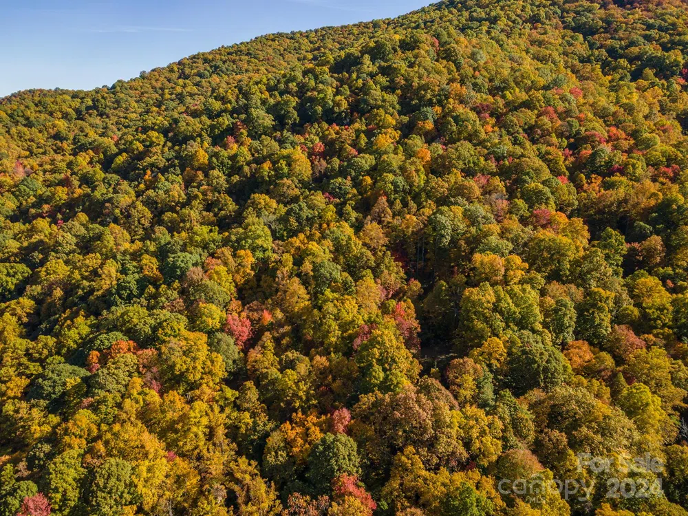 99999 Harwood Road Barnardsville, NC 28709