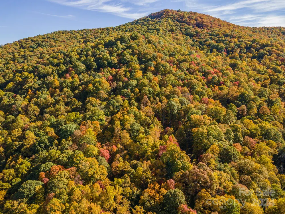 99999 Harwood Road Barnardsville, NC 28709