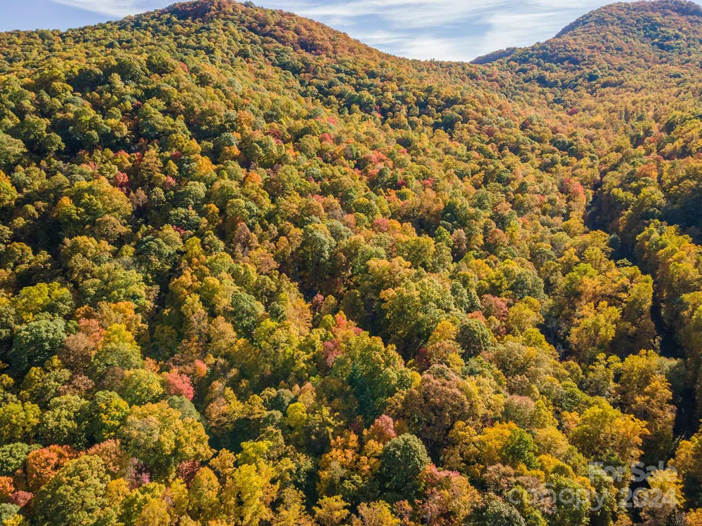99999 Harwood Road Barnardsville, NC 28709