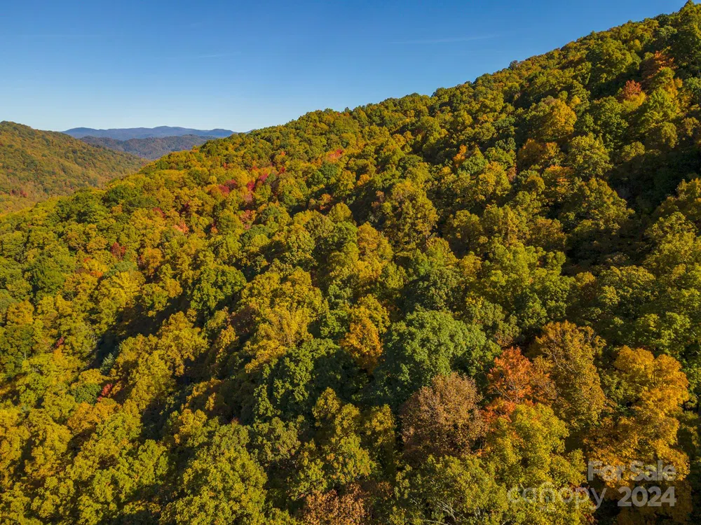99999 Harwood Road Barnardsville, NC 28709