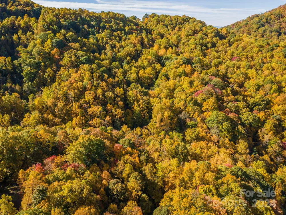 99999 Harwood Road Barnardsville, NC 28709