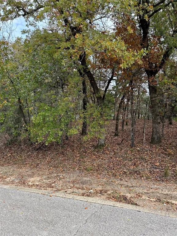 489 Pedernales Athens, TX 75752