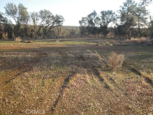 4288 Olive Oroville, CA 95966