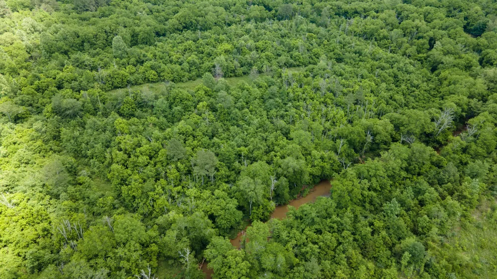 3 State Highway 163 Calhoun, TN 37309