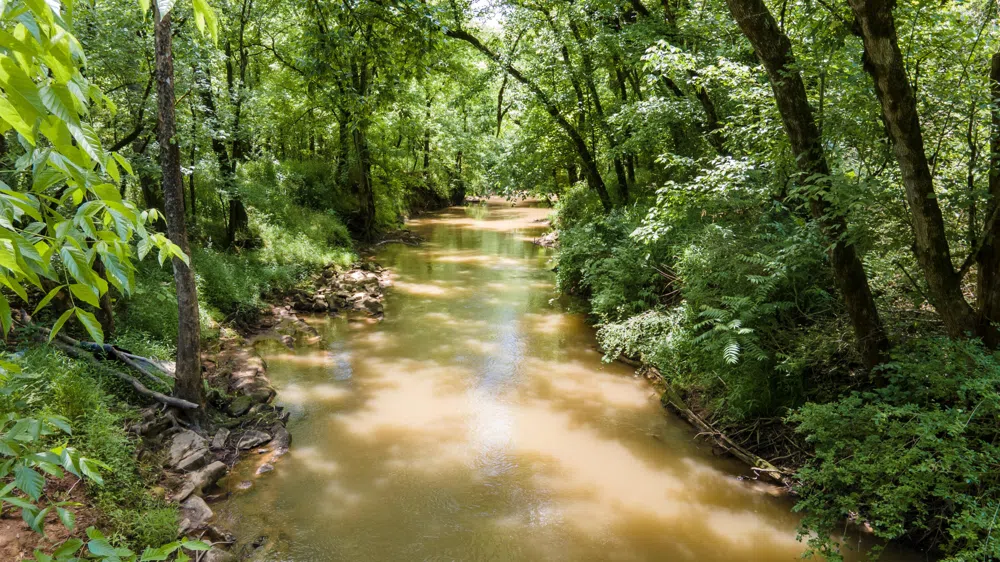 3 State Highway 163 Calhoun, TN 37309