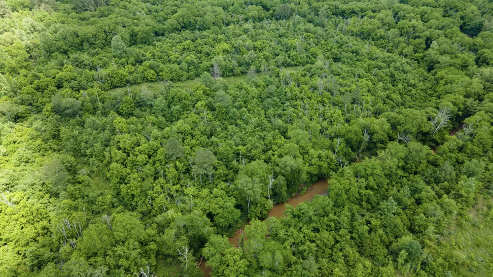 2 State Highway 163 Calhoun, TN 37309